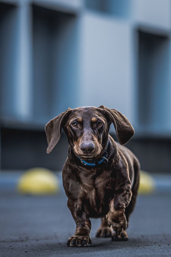 Фотография автора Ольга Тенилова