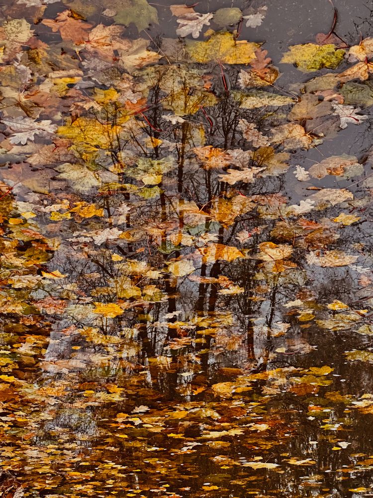 Photograph by Полина Самойлова