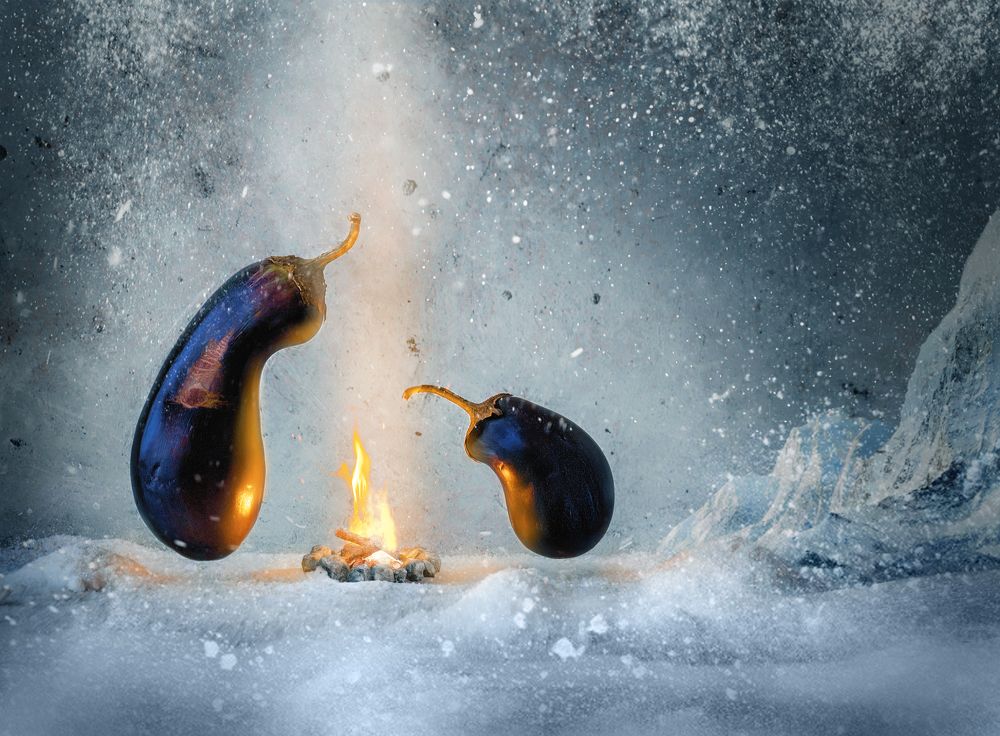 Тайная жизнь баклажанов