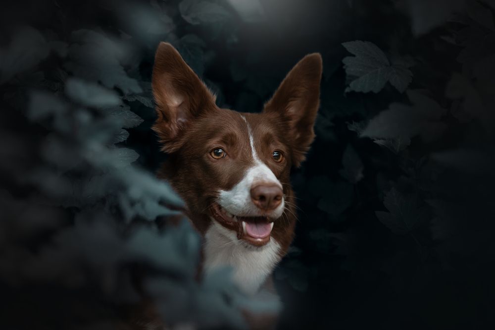 Photograph by Светлана Писарева