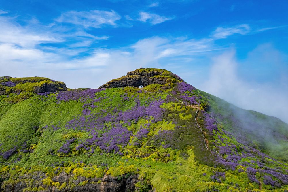 Photograph by Nitin Baste