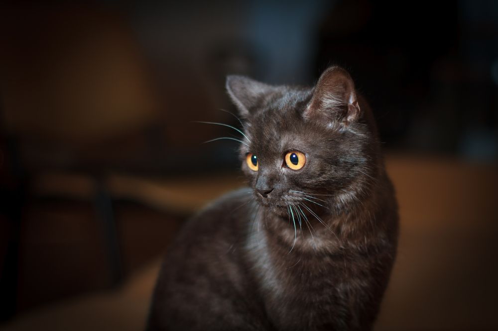 Photograph by Сергей Бутусов