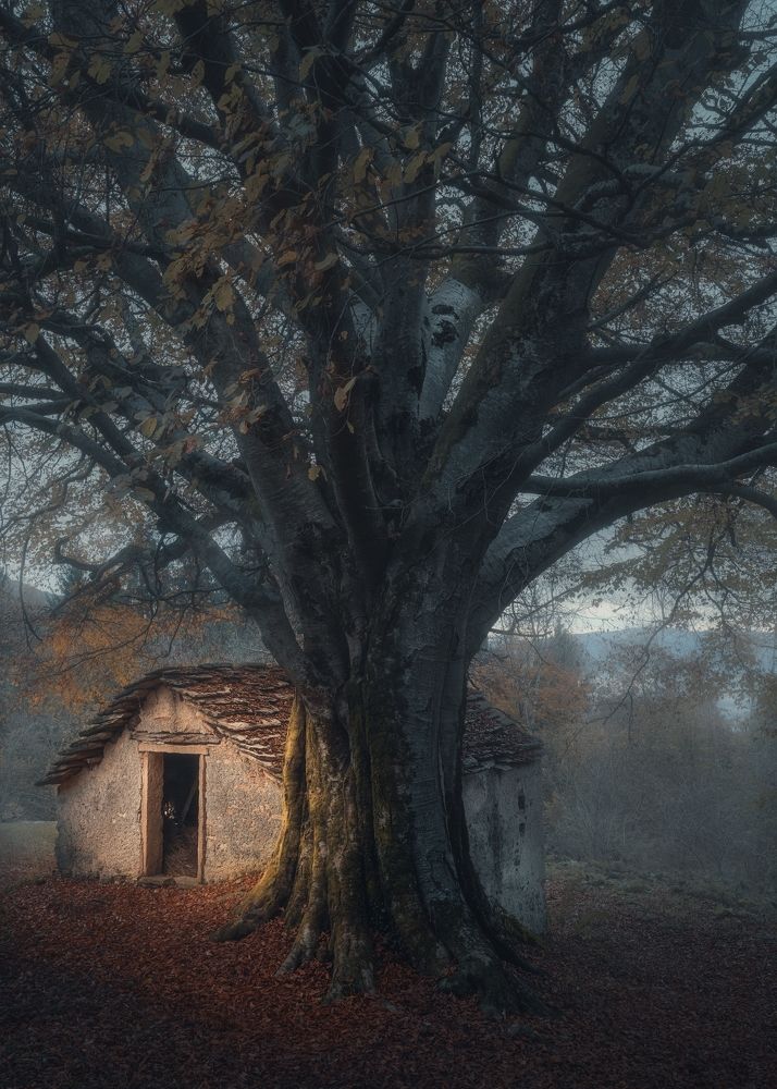 Photograph by de Franzoni Thomas