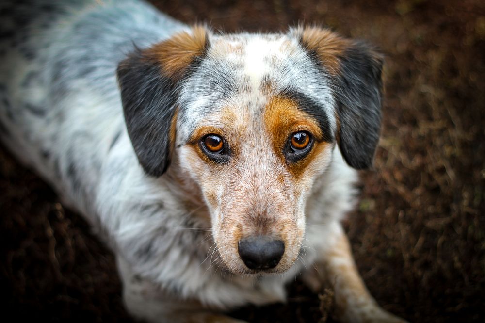 Photograph by Сергей Бутусов