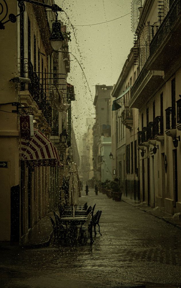 Photograph by Fabio Ernesto Chirolde Muñoz