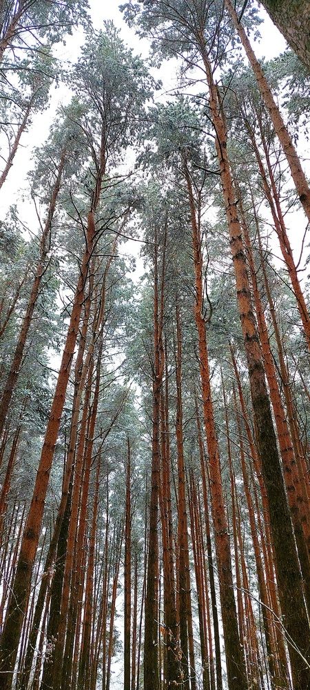 Фотография автора Можаев Сергей