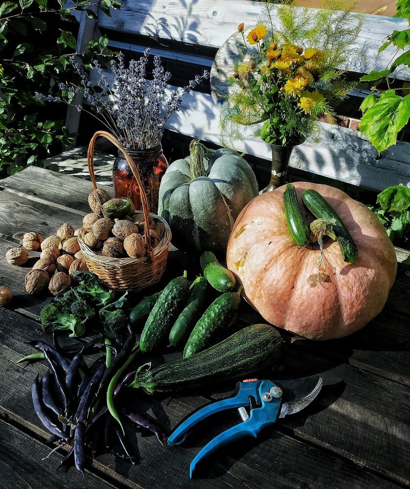 Photograph by Ольга Мартьянова