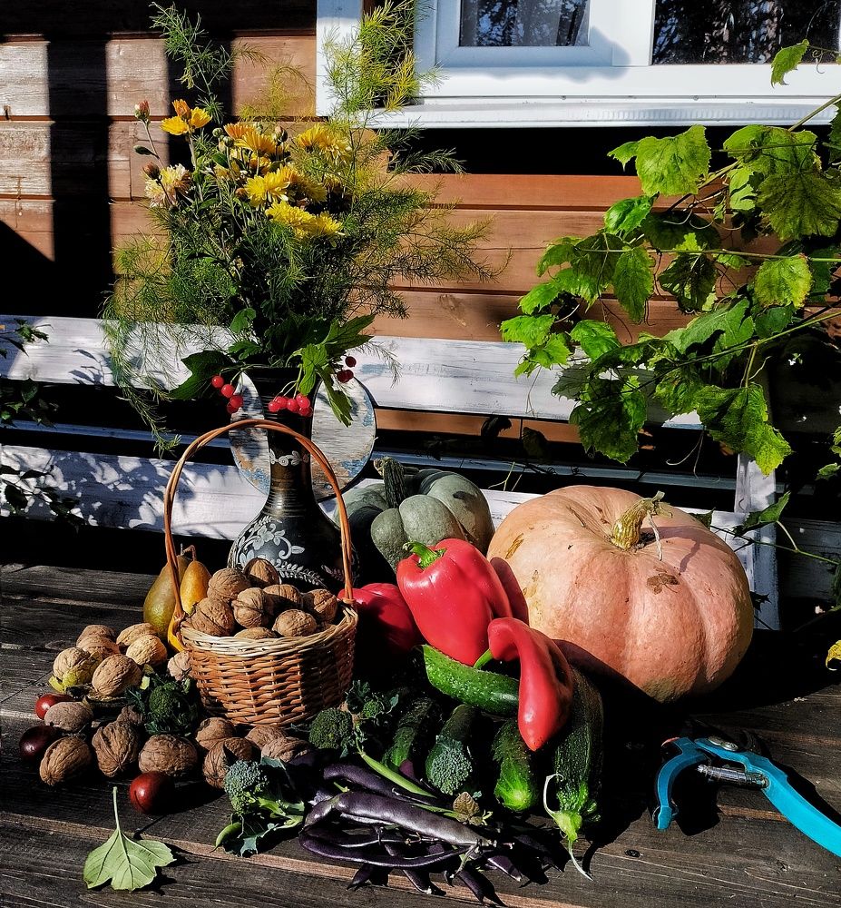 Photograph by Ольга Мартьянова