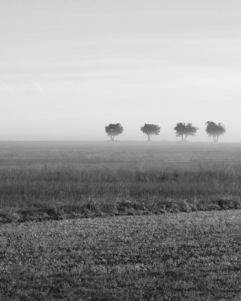 Фотография автора Julio Esteban