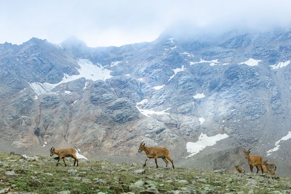 Photograph by Ирина Кооль