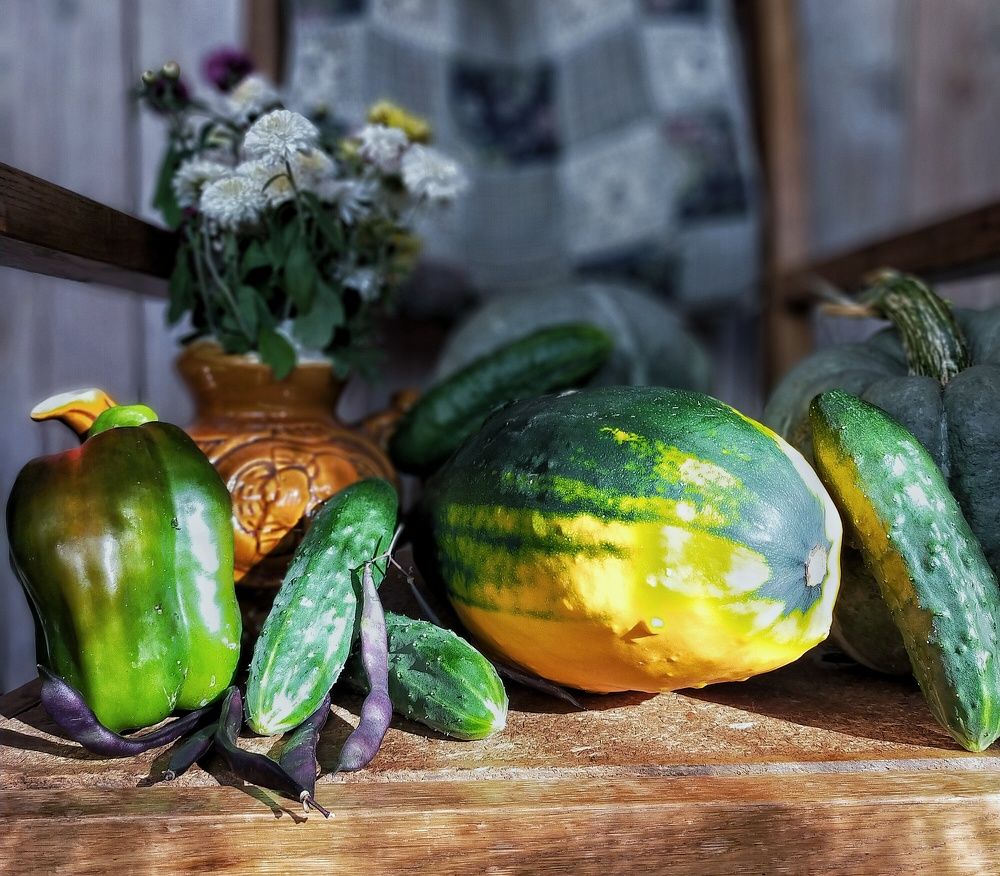 Photograph by Ольга Мартьянова