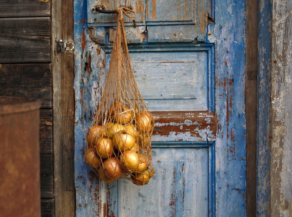 Лук уродился в этом году)