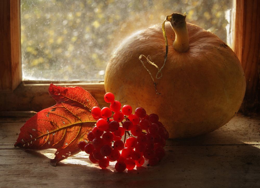 Солнечный день в сентябре