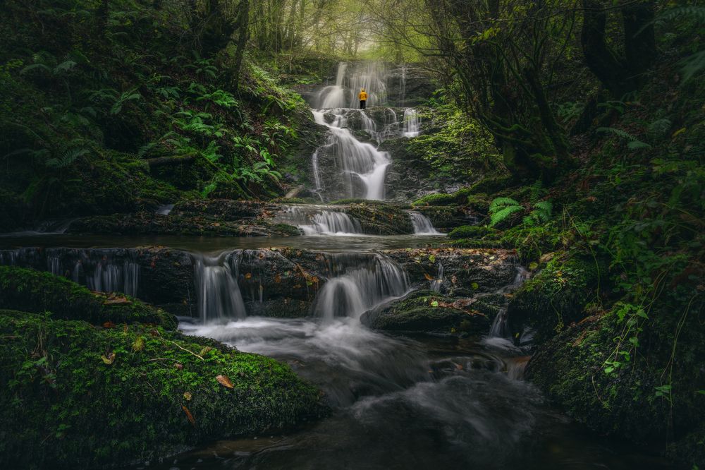 Фотография автора Jorge Rey Azabal