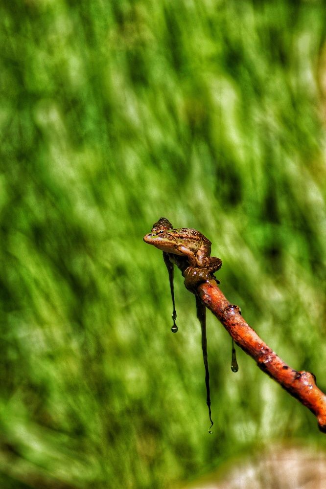 Photograph by Baha Ghaderi