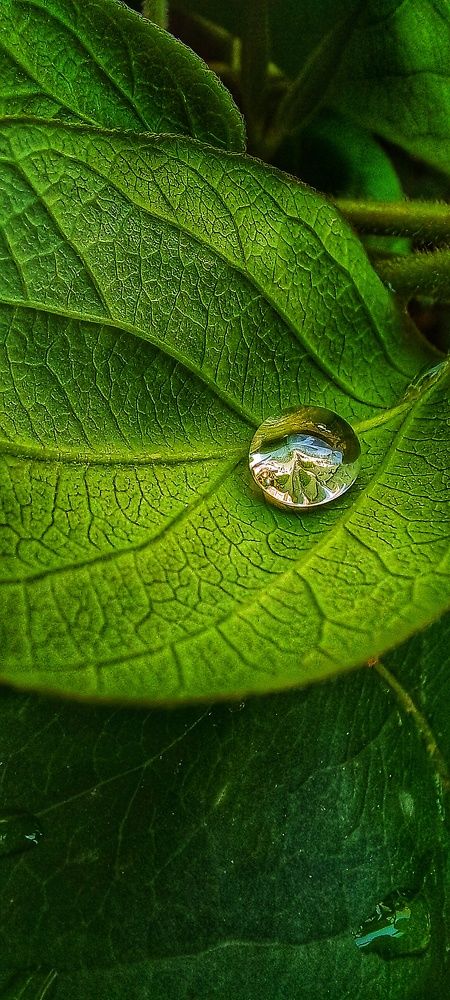 Photograph by Baha Ghaderi