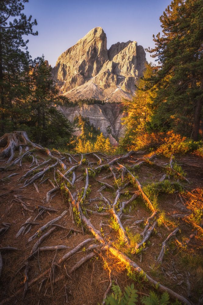 Photograph by Георгий Бычковский