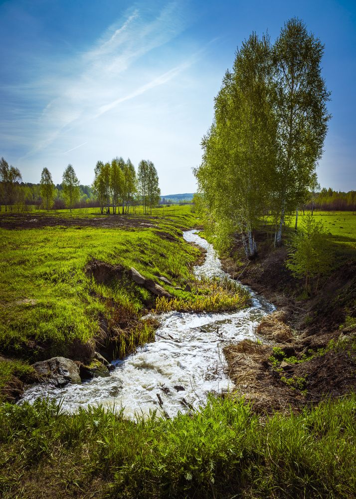Фотография автора Каргин Валерий