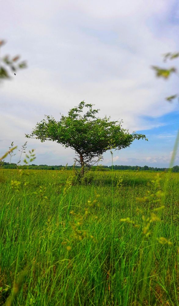 На рассвете