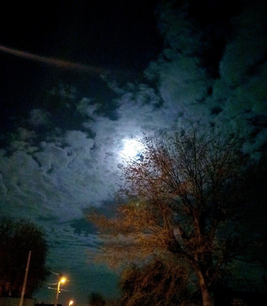 Go look at the moon.