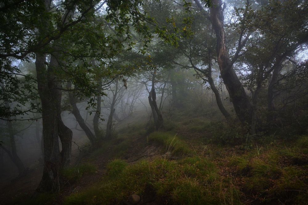 Photograph by Юлия Абрамова