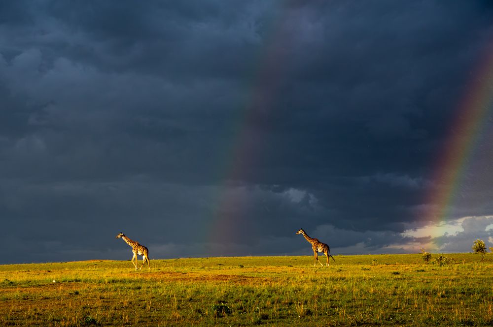 Photograph by Prasanth kumar nammalwar