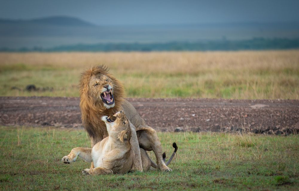 Photograph by Prasanth kumar nammalwar