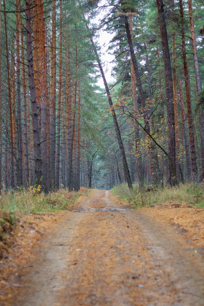 Photograph by Михаил Климов