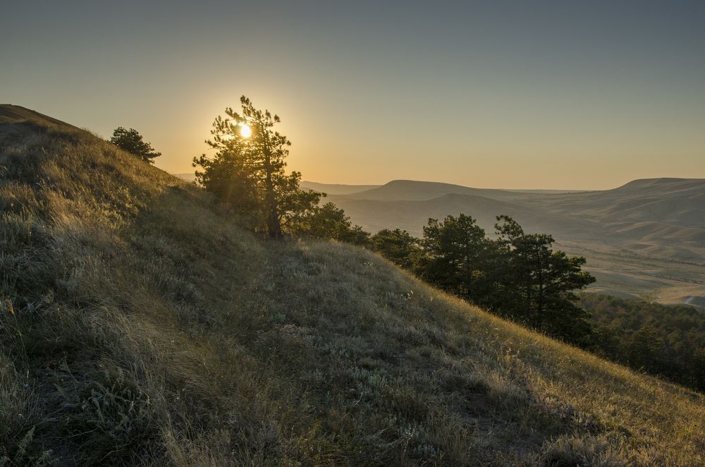 Photograph by Алексей Алешин