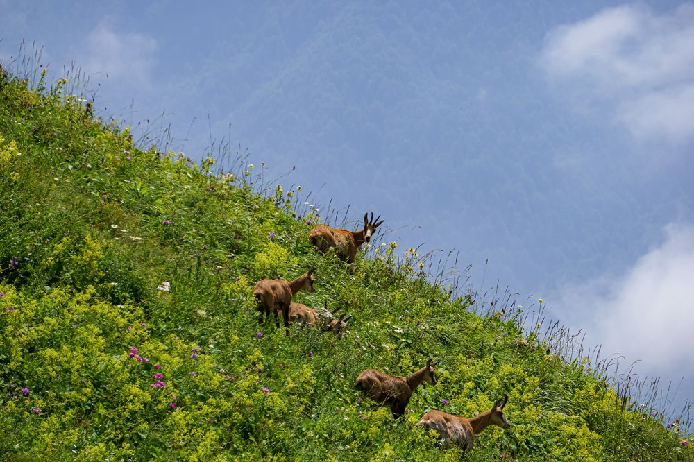 Photograph by антон каменчуков