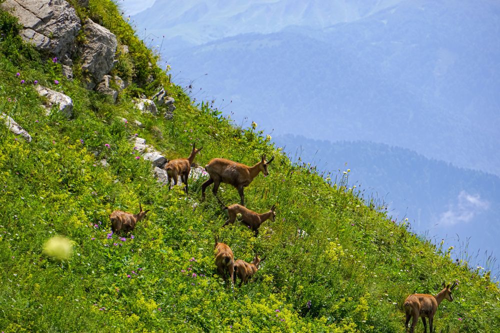 Photograph by антон каменчуков