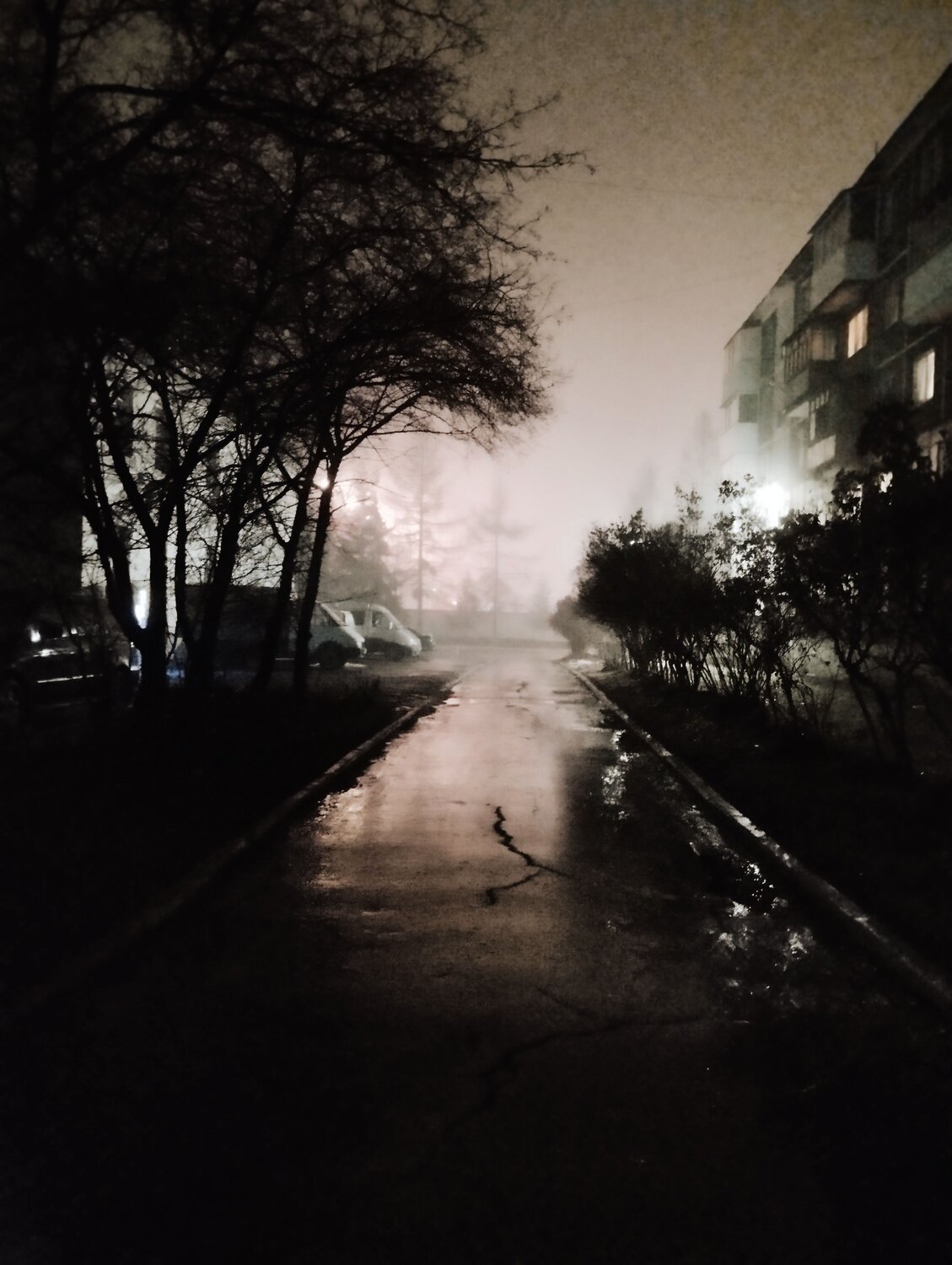 Photo #9845598