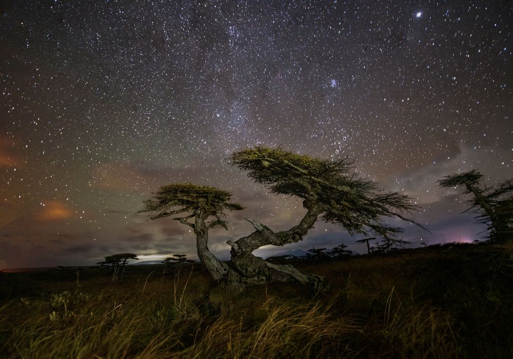 Photograph by Татьяна Решетникова