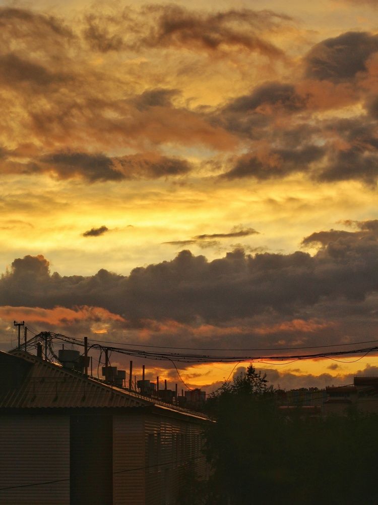 Photograph by Янтарная Елена