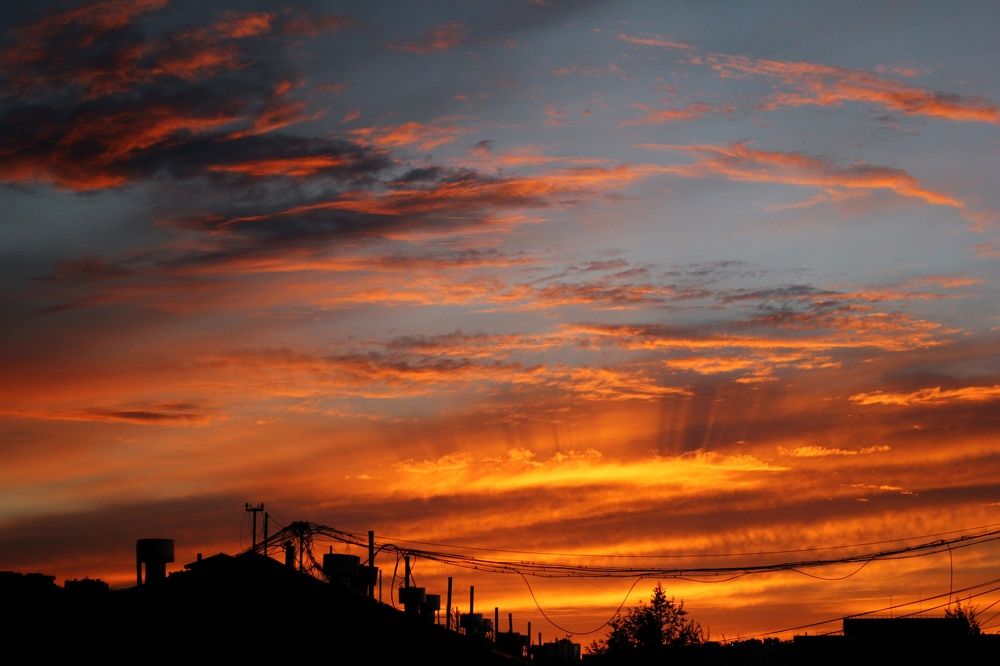 Photograph by Янтарная Елена