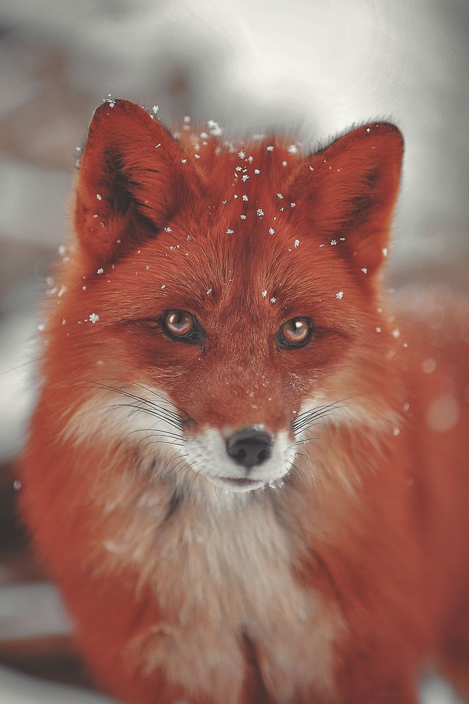 Photograph by Лысенкова Аксинья