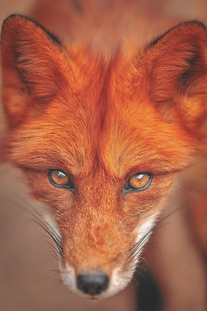 Photograph by Лысенкова Аксинья