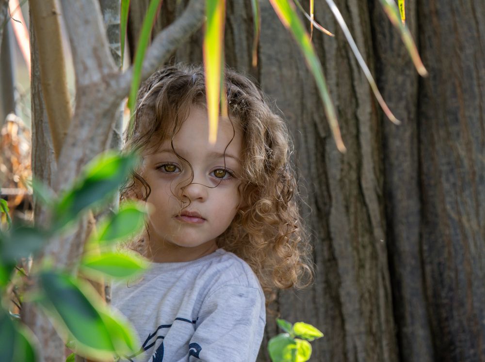 Фотография автора محمد سعد أبو أبراهم