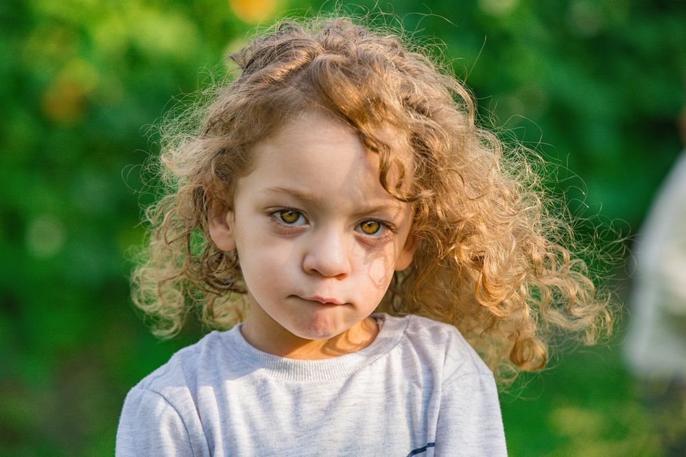 Фотография автора محمد سعد أبو أبراهم