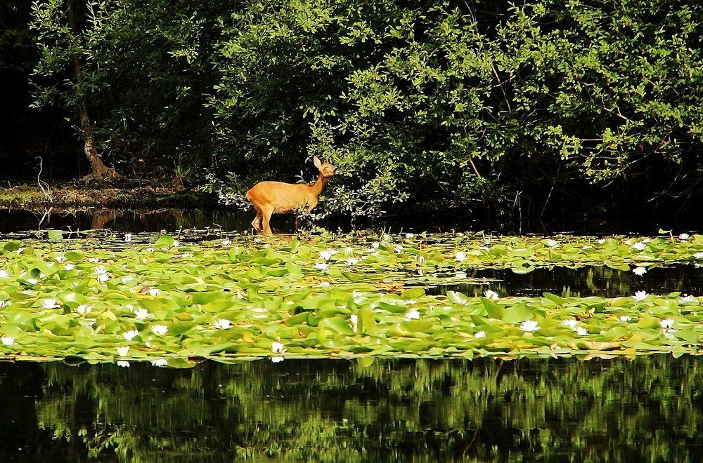 Фотография автора Александр