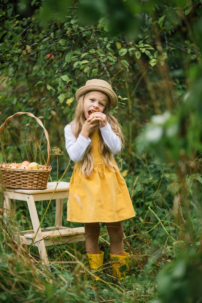 Яблочный день