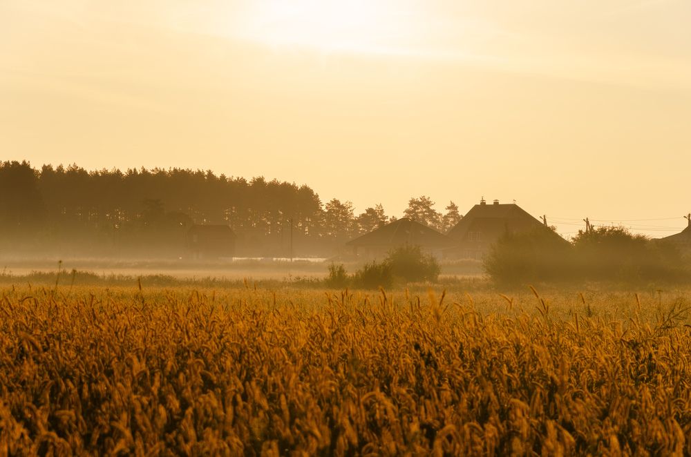 Morning in the silent village