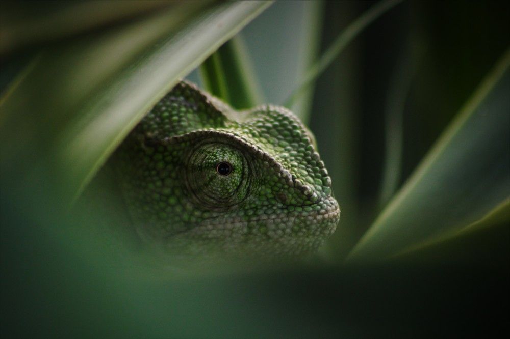 Photograph by Berk Karacin