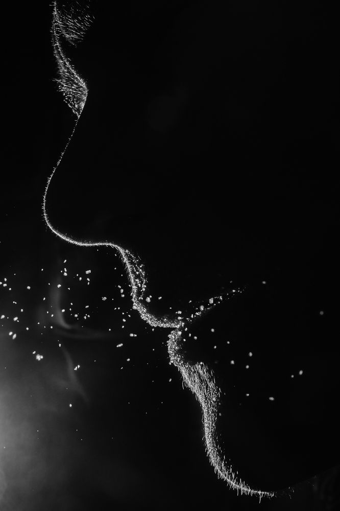 Photograph by Сергей Межевич