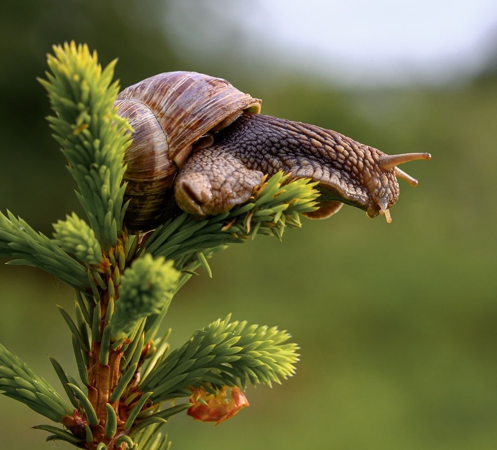 Фотография автора Караваев Антон