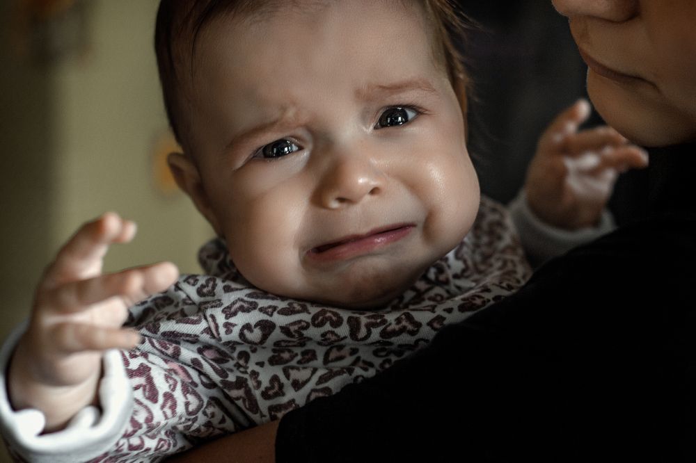 Photograph by Виталий Шкадинов