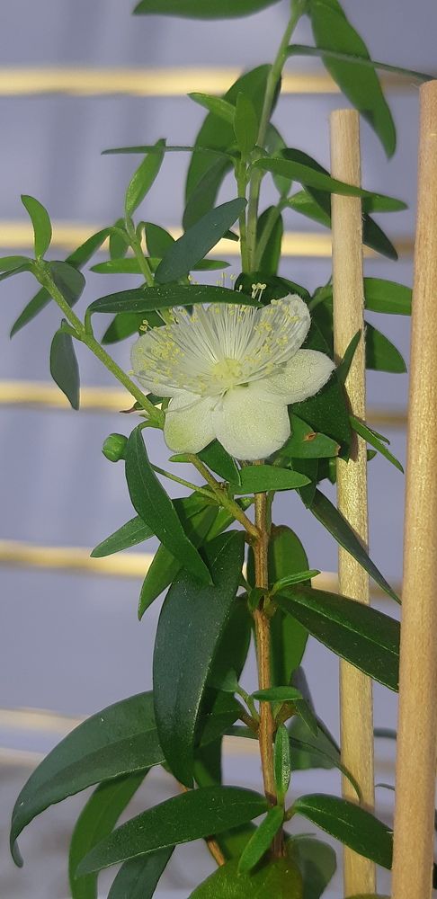 Photograph by Дмитрий Жуков