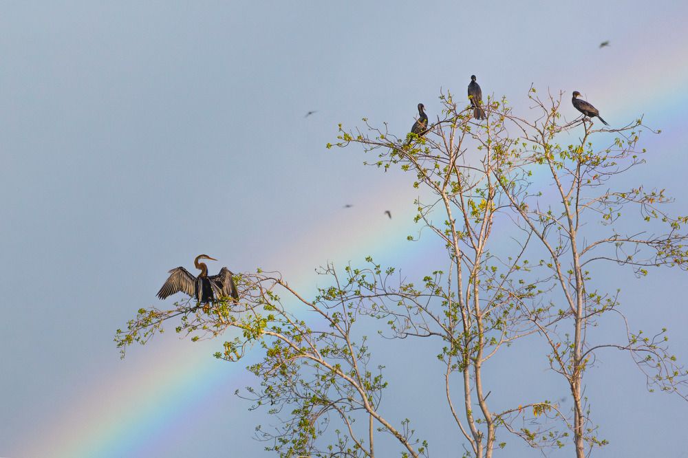 Фотография автора Toan Dinh