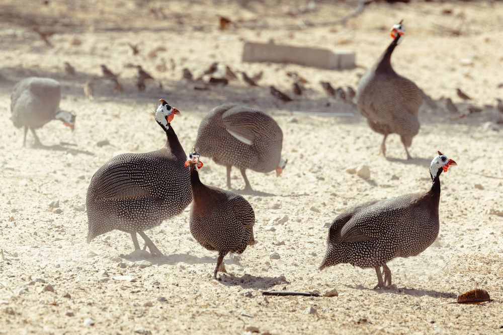 Photograph by Калинин Игорь