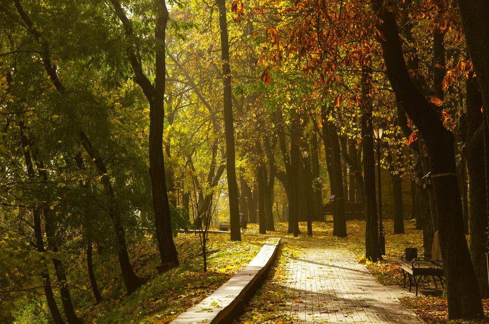 Фотография автора Анастасия Роговцова